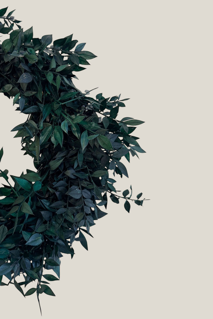 Corona ruscus + lazo