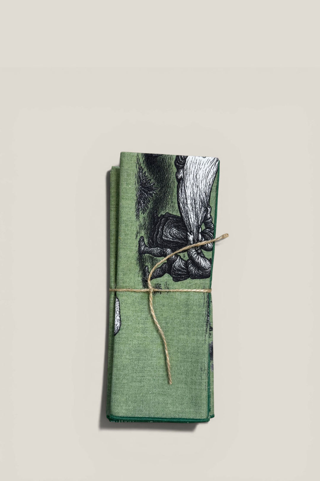 Mantel individual quijote verde (pack de 4)